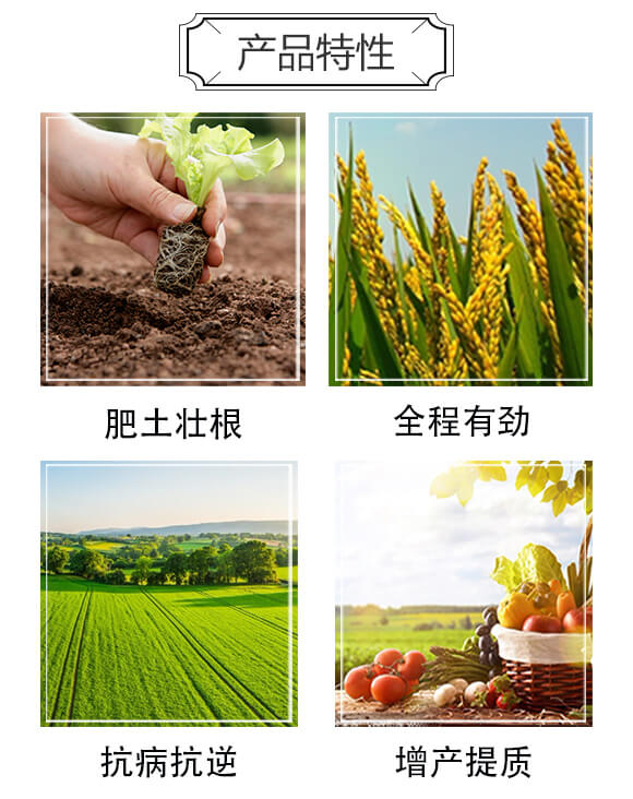 豆磷脂全能肥-摩羅根-康華生物_03